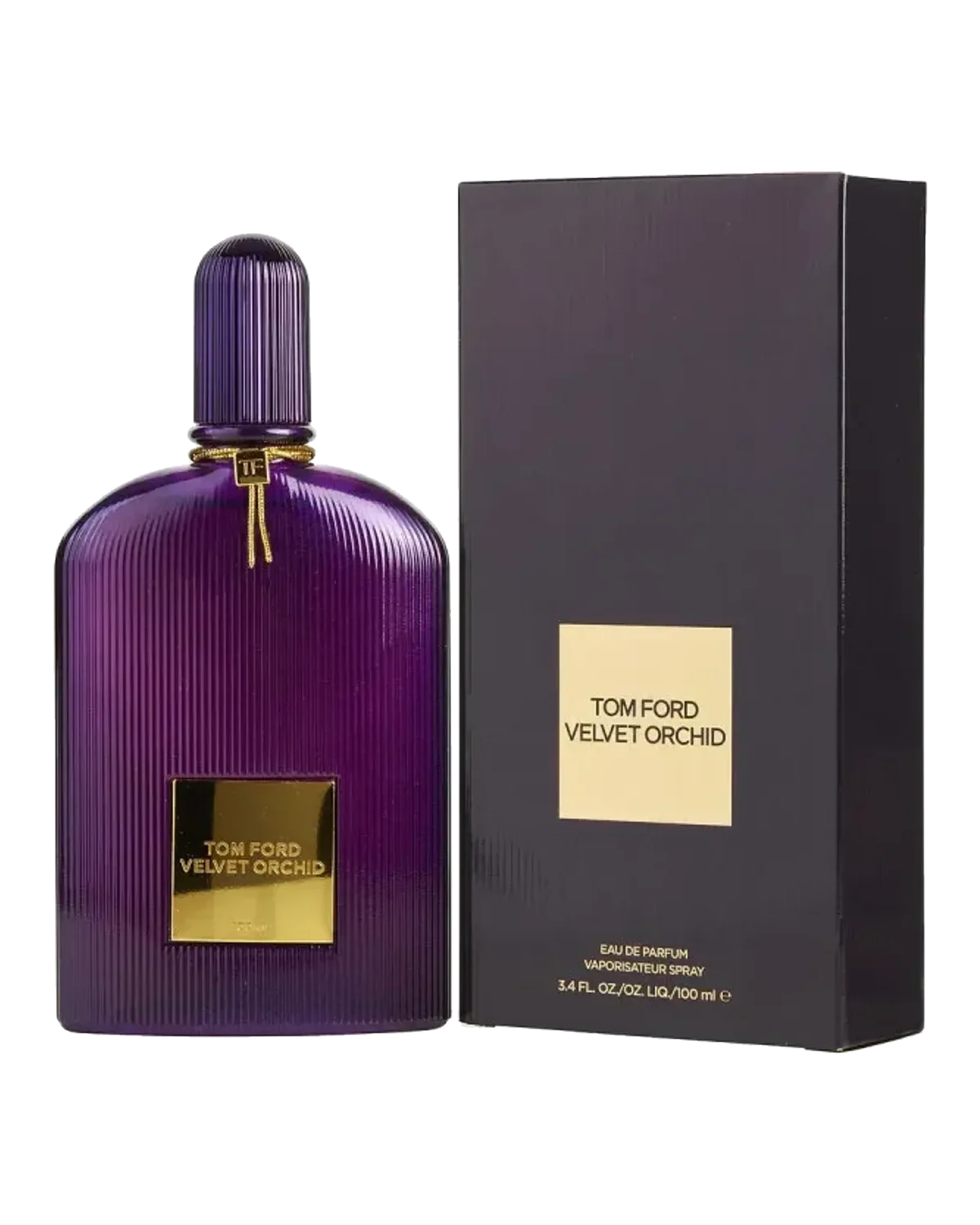 Velvet Orchid